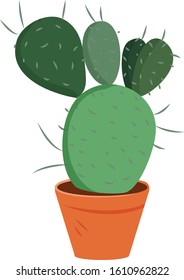 Cactus isolated on white background. illustration vector