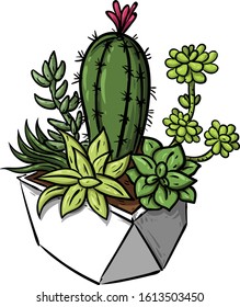 Cactus isolated on white background. illustration vector