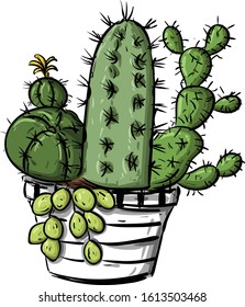 Cactus isolated on white background. illustration vector