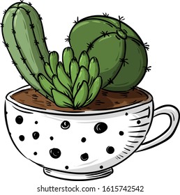 Cactus isolated on white background. illustration vector