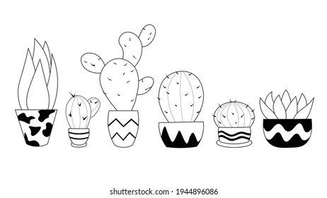 Cactus isolated on white background. Exotic and Tropical Plants. Vector EPS10