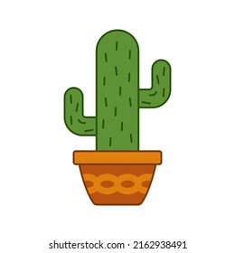 Cactus isolated on white background