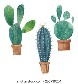 Cactus Isolated On White Background. Vector, Watercolor Hand Drawn Set Illustration.