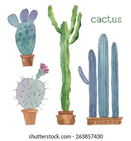 Cactus isolated on white background. Vector, watercolor hand drawn set illustration.