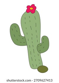 Cactus aislado en un fondo blanco