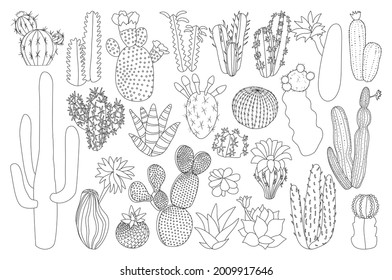 Kaktus isolierte Umrisssymbol. Vektorgrafik mexikanische Kakteen auf weißem Hintergrund. Vektorgrafik-Umriss-Symbol-Kaktus mit Blume.