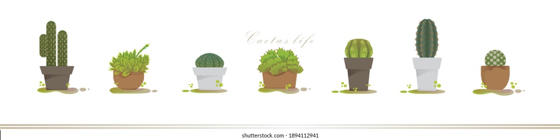 cactus isolated set. Illustration of many kinds cactus in pots front on white background of panoama picture.