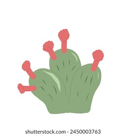 Cactus isolation on white background. Mexican prickly pear cacti. Exotic plant Vector hand drawn flat illustration