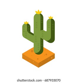 Cactus isometric