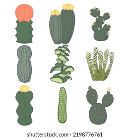 Cactus and juicy set in doodle style. Various green house cacti collection in flat design. Editable vector illustration on white background. 