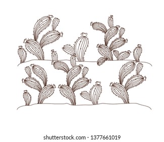 cactus in landscape isolated icon