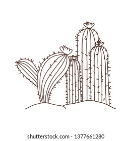 cactus in landscape isolated icon