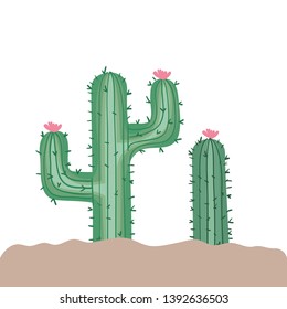 cactus in landscape isolated icon