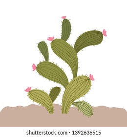 cactus in landscape isolated icon