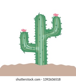 cactus in landscape isolated icon