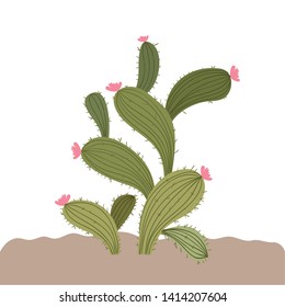 cactus in landscape isolated icon