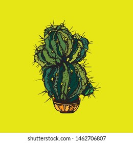 Cactus with large thorns, in a pot, drawn with pen on paper, on a yellow background, an element for your website and design project. Graphics, calligraphy. Scandinavian poster style.