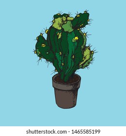 Cactus with large thorns, in a pot, drawn with pen on paper, on a blue background, an element for your website and design project. Graphics, calligraphy. Scandinavian style poster.