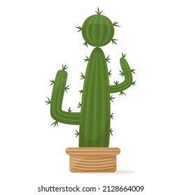 Cactus with lateral appendages and a round top. Succulent in a flower pot, a houseplant for home, office, greenhouse.  Vector icon, color cartoon, complex flat, isolated