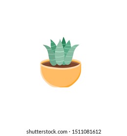 Cactus leaf icons on a white background. Home plants cactus in pots with flowered for decorate desk and room.