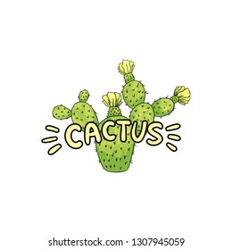 Cactus Lettering with Green letters, Cacti Saguaro and Red pepper. Isolated Logo Vector Design Element for Branding