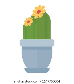 
A cactus like plant having thick and broad leaves and flowers on it, cereus repandus 
