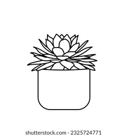 cactus line art cacti desert botanical illustration