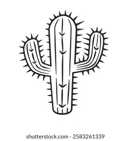 Cactus Line Art On White Background