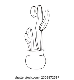 Cactus line art style. Linear Cactus. Hand drawn cactus isolated on white background. Succulent plants in doodle style. Vintage illustration.