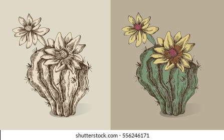 Cactus Line Naturalistic Illustration