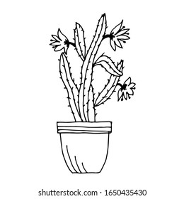 Cactus linear vector drawing. Sketch drawing of a houseplant.  Doodle style. Children's coloring book.