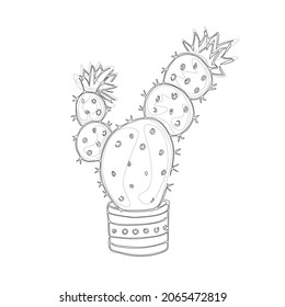 Cactus in lines. Home plant in a pot. Cactus tree. Hand-drawn sketch on white background. Black and white vector illustration, eps