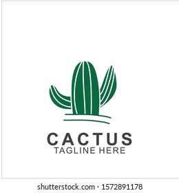 Cactus logo with creative concept. Icon cactus vector illustration