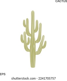 Cactus logo. Isolated cactus on white background