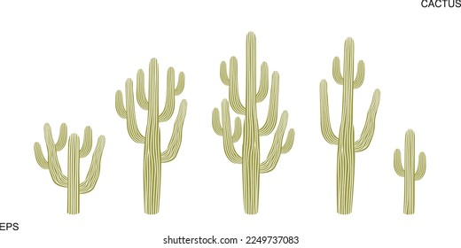 Cactus logo. Isolated cactus on white background