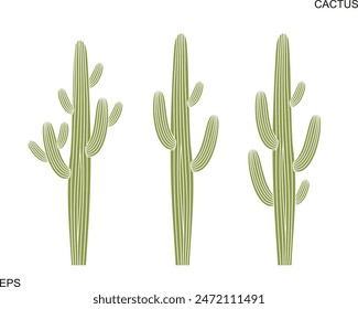 Cactus logo. Isolated cactus on white background