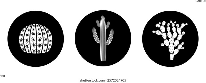 Cactus logo. Isolated cactus on white background