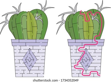 Cactus maze for kids with a solution