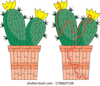 Cactus maze for kids with a solution