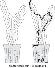 Cactus maze for kids with a solution