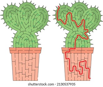 Cactus maze for kids with a solution