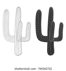 Cactus, Mexican desert plant cartoon style, hand drawn. vector