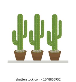 cactus mexican plant in ceramic pot flat style vector illustration design