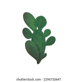 Cactus Mexican plant, exotic desert greenery decoration isolated. Vector botanical cacti with spikes, American succulent flower. Opuntia cartoon pancake cacti, flapjack and dollarjoint prickly pear