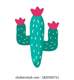 cactus mexican plant flat style icon vector illustration design
