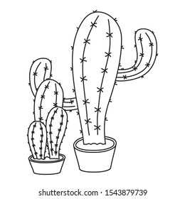 cactus mexican plant isolated icon vector illustration design