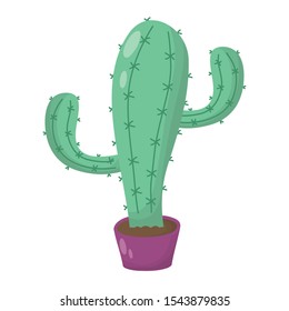 cactus mexican plant isolated icon vector illustration design