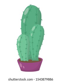 cactus mexican plant isolated icon vector illustration design