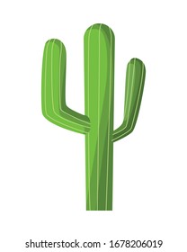 cactus mexican plant isolated icon vector illustration design