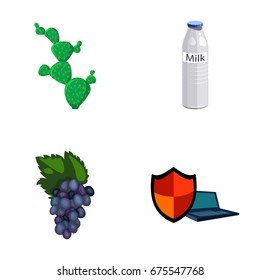 Cactus, milk and other web icon in cartoon style.grapes, protective program icons in set collection.